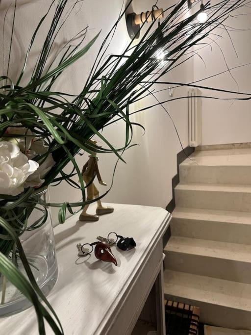 Maddalena's House Venezia